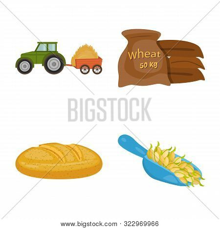 Vector Illustration Of Farm And Arable Symbol. Collection Of Farm And Wheat Stock Symbol For Web.