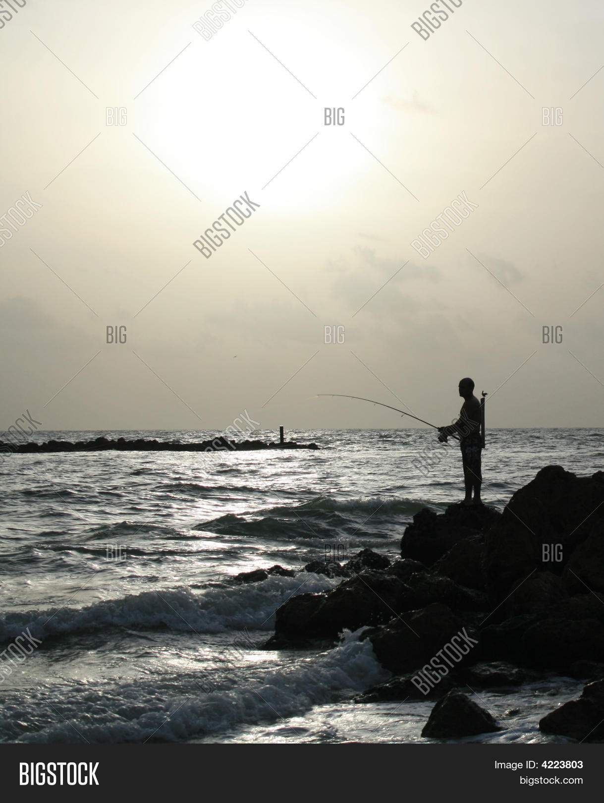 Image Preview