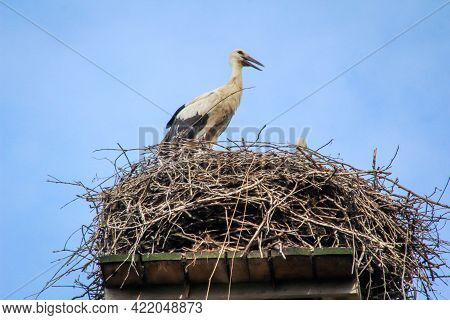 A Stork Stands In Its Nest High Up On A Building.