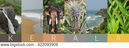 Ertical Photo Collage Of Tropical Place And Landscape In India, Kerala, Coconut Palm, Sea, Plant, El