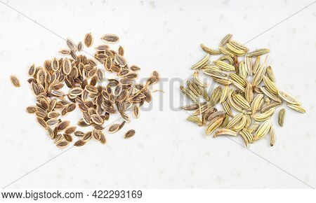 Two Pinches Of Dill And Fennel Seeds On Gray Ceramic Plate