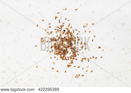 Several Whole-grain Teff Seeds Close Up On Gray Ceramic Plate