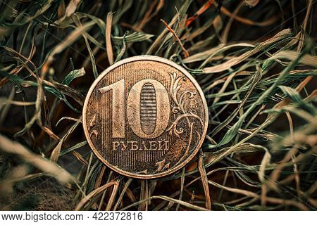 10 Russian Rubles Coin Is Lying On The Drying Grass. Economic Crysis Concept.