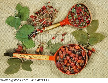 Briar, Strawberry. Dry Herbs For Use In Alternative Medicine, Phytotherapy, Spa Or Herbal Cosmetics.