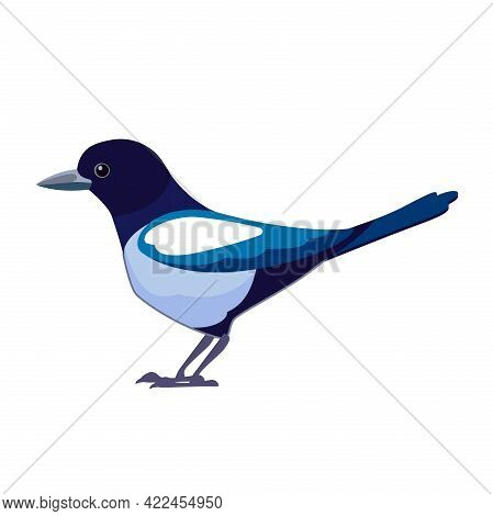 Magpies Are Birds Of The Corvidae Family. Bird Cartoon Flat Style Beautiful Character Of Ornithology