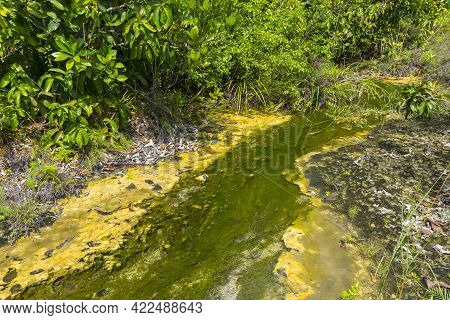Khao Pra Bang Khram Wildlife Sanctuary Way To Emerald Pool Aka Sa Morakot Tourist Destination. Natio