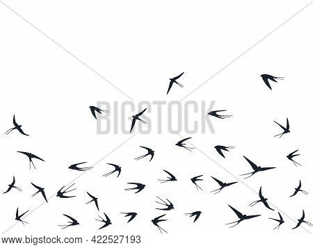 Flying Martlet Birds Silhouettes Vector Illustration. Nomadic Martlets Flock Isolated On White. Swif