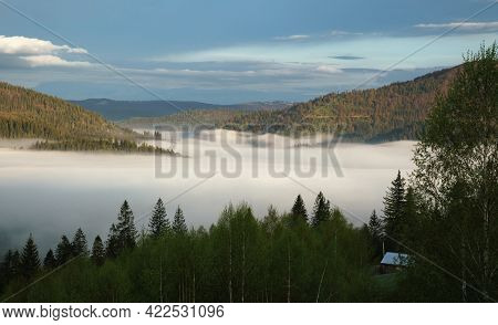 Misty Carpathian Forest Mountains At Sunrise Early Morning In Ukraine