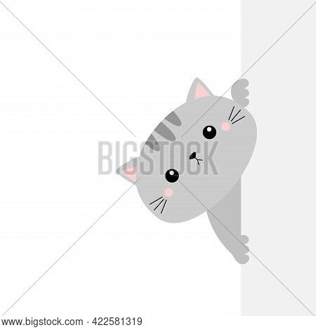 Gray Cat Holding Big Empty Signboard. Cute Cartoon Kawaii Funny Kitten Kitty Hiding Behind Paper Wal