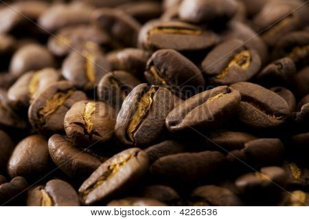 Grano de café