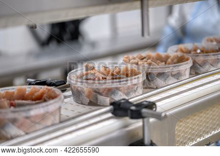 Pickled Pieces Of Herring Fillets In Plastic Cans On A Conveyor. Canned Fish Making.