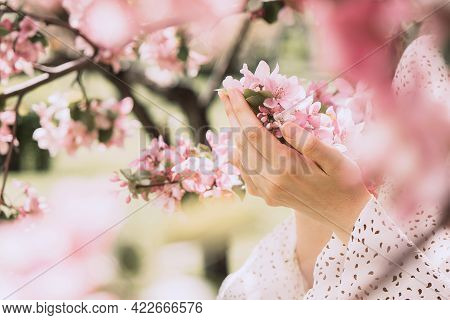 The Girls Hands Are Holding A Blossoming Branch With Loose Delicate Pink Flowers. Concept Spring Sum