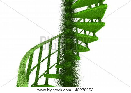 Rendered ecologic nature spiral stairs