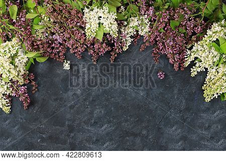 Abstract Flower Arrangement Flat Lay, Background, Spring Banner. Frame Made Of Lilac Branches On A D