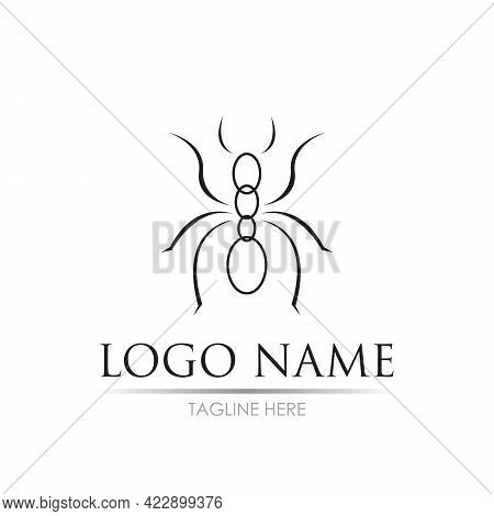 Ant Logo Template Vector Illustration Design