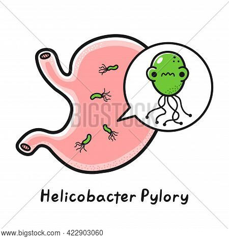 Human Stomach Organ With Helicobacter Pylori Bacteria. Vector Hand Drawn Cartoon Kawaii Character Il