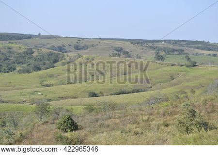Panoramic Or Landscape Of Nature With Green Vegetation In The Foreground, Paved Road In The Backgrou