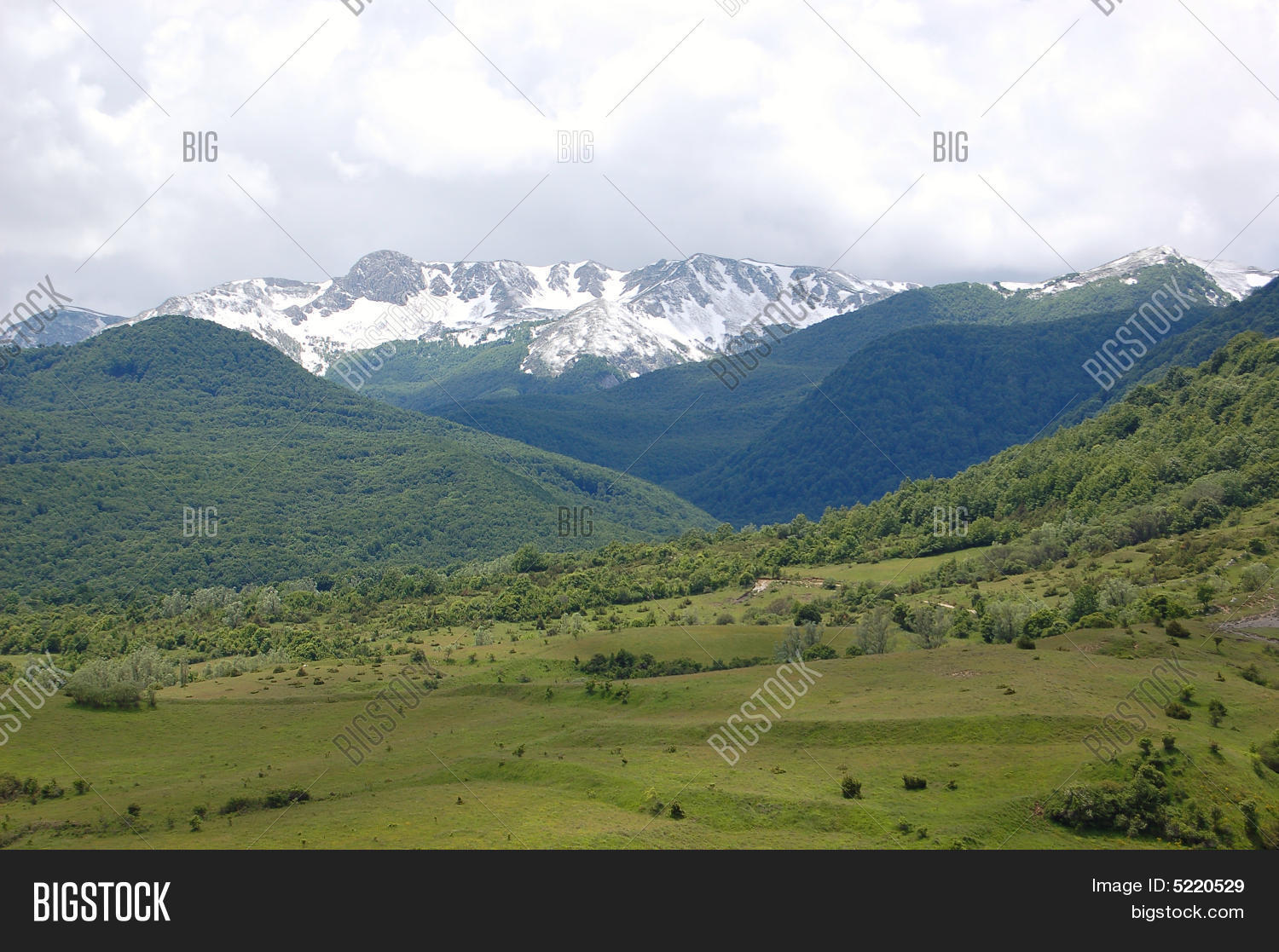 Image Preview