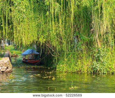 Landscape With Boat In Kerala Backwaters, India