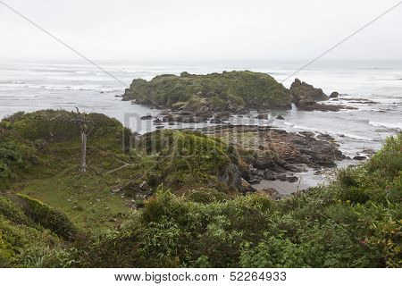 Landscape Of The Coastline At Chiloe National Park.