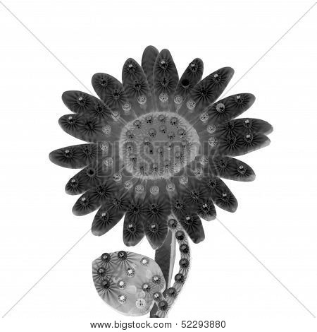 Electric Daisy Flower