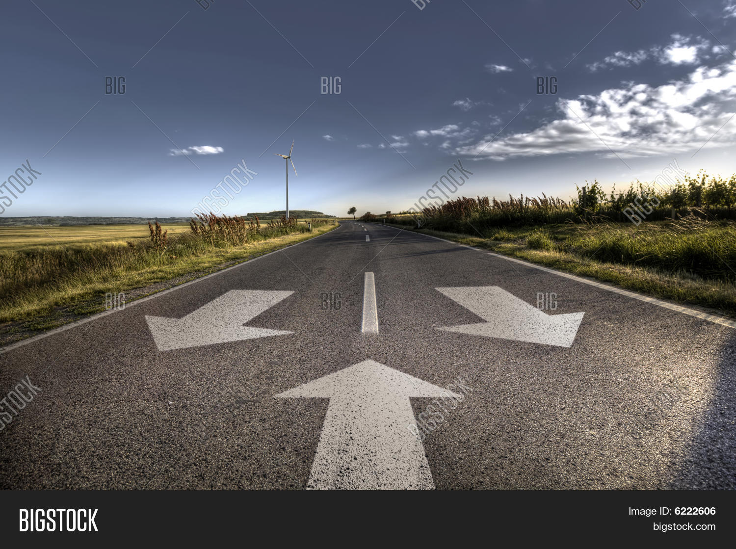 Image Preview