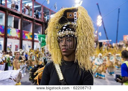 Carnival 2014 - Rio de Janeiro
