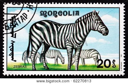 Postage Stamp Mongolia 1991 Zebra, African Animal