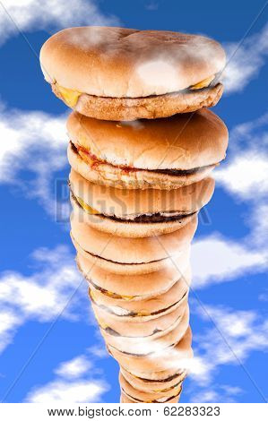 Sky High Burgers