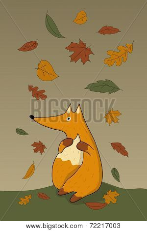 Autumn fox