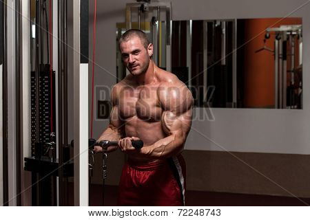 Biceps Exercise