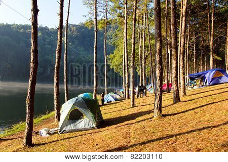 Camping at Pang Tong Under Royal Forest Park