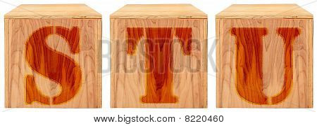 Wood Engraved Alphabet Blocks S T U