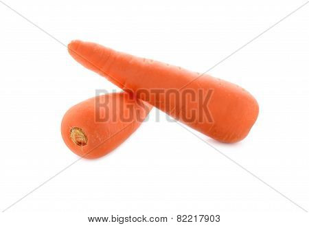 Fresh Carrots On White Background