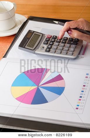donna facendo le finanze di casa