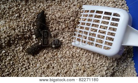 Cat litter with excrement