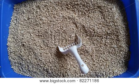 Clean cat litter and scoop