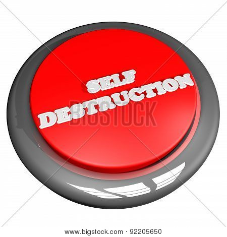 Self Destruction Button