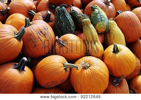 Pumpkin