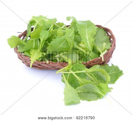 Brassica Juncea Leaves