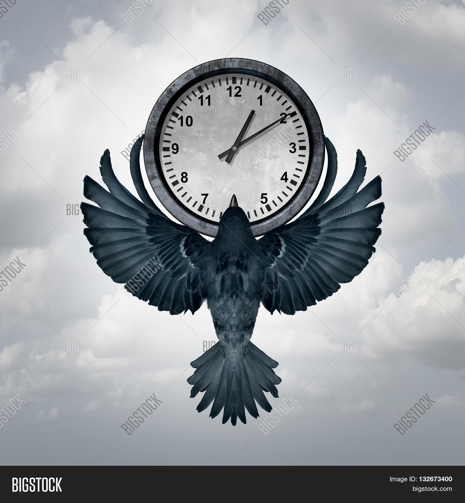 крыло времени