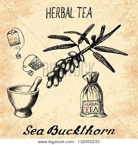 Sea buckthorn herbal tea. Set of vector elements on the basis hand pencil drawings. Sea buckthorn tea bag mortar and pestle textile bag. For labeling packaging printed products