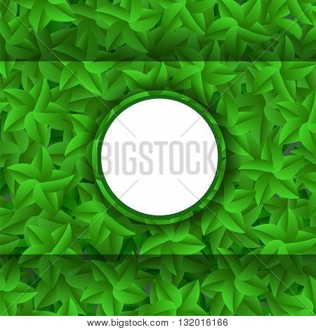 Green Leaves Pattern. Evergreen Hedgegrow. Summer Leaves Background