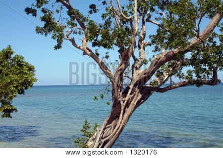 Jamaica kystlinje