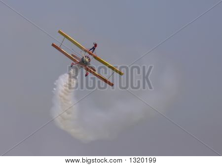 Wing Walker