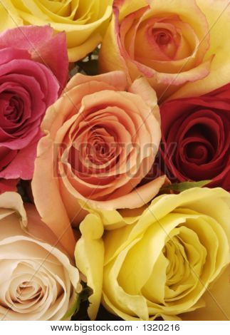 Brilhantes, Belas rosas mistas