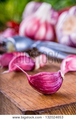 Garlic. Fresh garlic. Red garlic. Garlic press. Violet garlic.Garlic background. garlic bulbs.