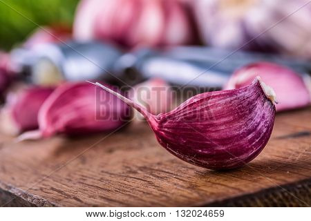 Garlic. Fresh garlic. Red garlic. Garlic press. Violet garlic.Garlic background. garlic bulbs.