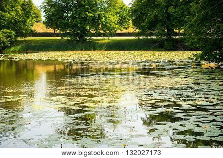 beautiful lake landscape in sothern Sweden, springtime