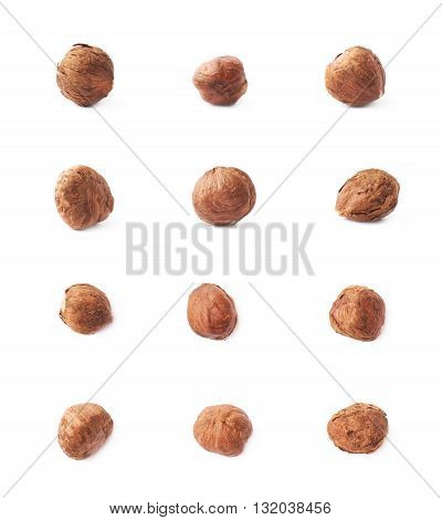 Mulitple single hazelnut nuts isolated over the white background, set of six images, each in two foreshortenings